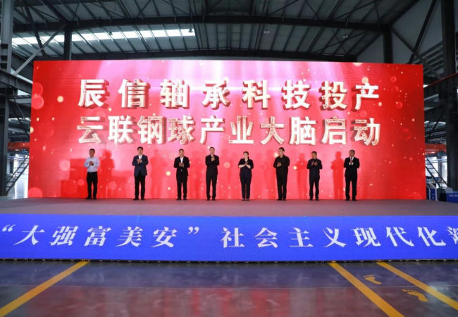 軸研所參加2024年全國滾動(dòng)體行業(yè)數實(shí)融合智能智造技術(shù)促進(jìn)會(huì )